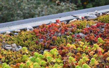 the cost of Treworlas green roof installation