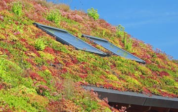 Treworlas living roof systems